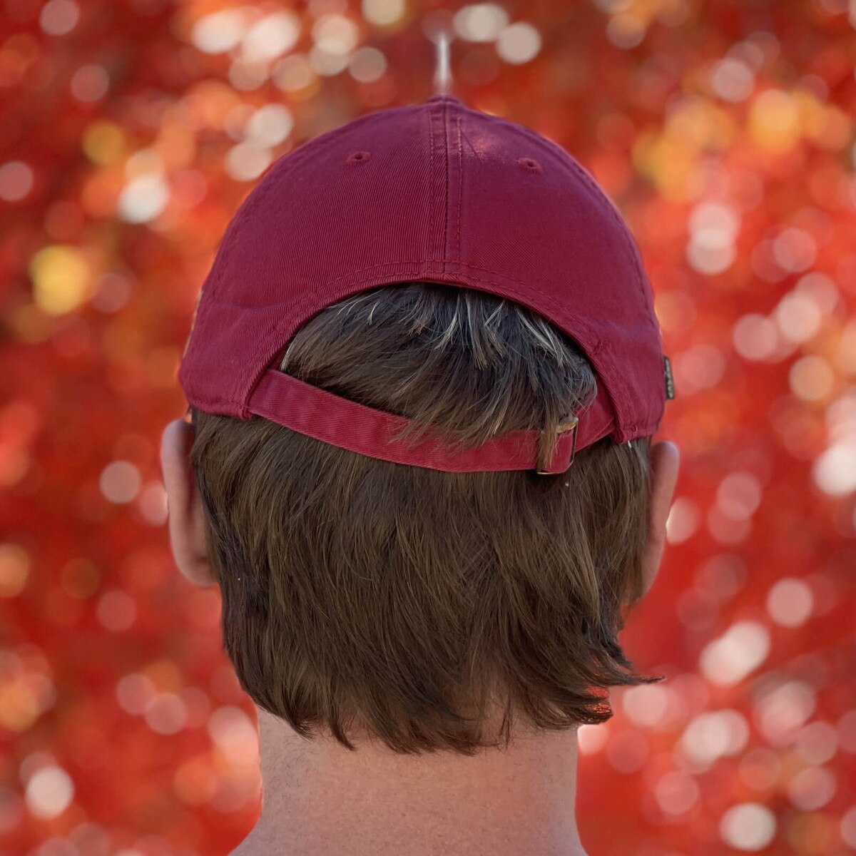 L2 Vintage Basketball Cy Weathered Cardinal Hat